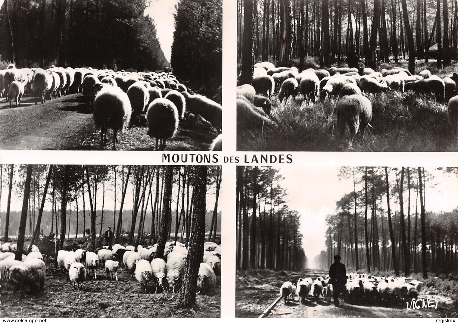 40-LES LANDES-N°T2657-A/0385 - Other & Unclassified