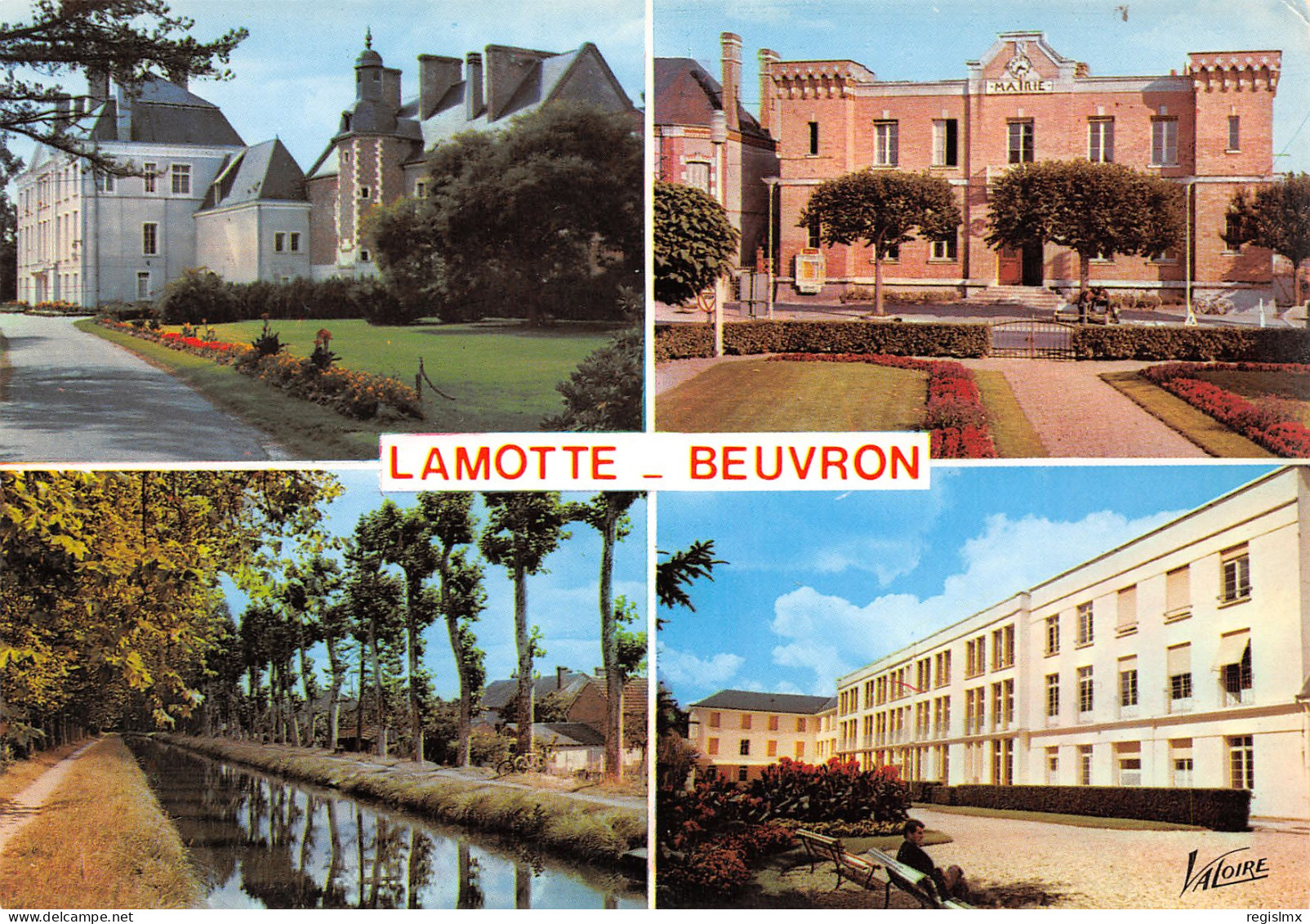 41-LAMOTTE BEUVRON-N°T2658-A/0107 - Lamotte Beuvron