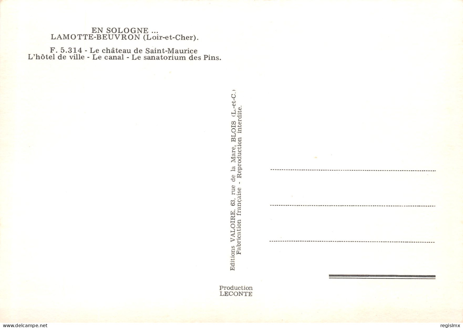 41-LAMOTTE BEUVRON-N°T2658-A/0109 - Lamotte Beuvron