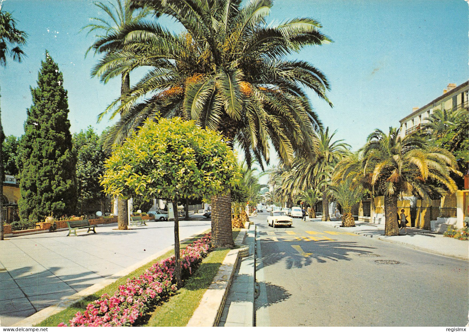 83-HYERES LES PALMIERS-N°T2657-C/0305 - Hyeres