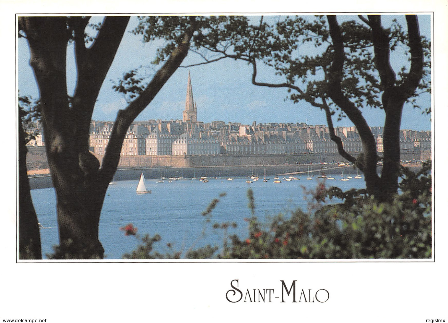 35-SAINT MALO-N°T2658-C/0267 - Saint Malo