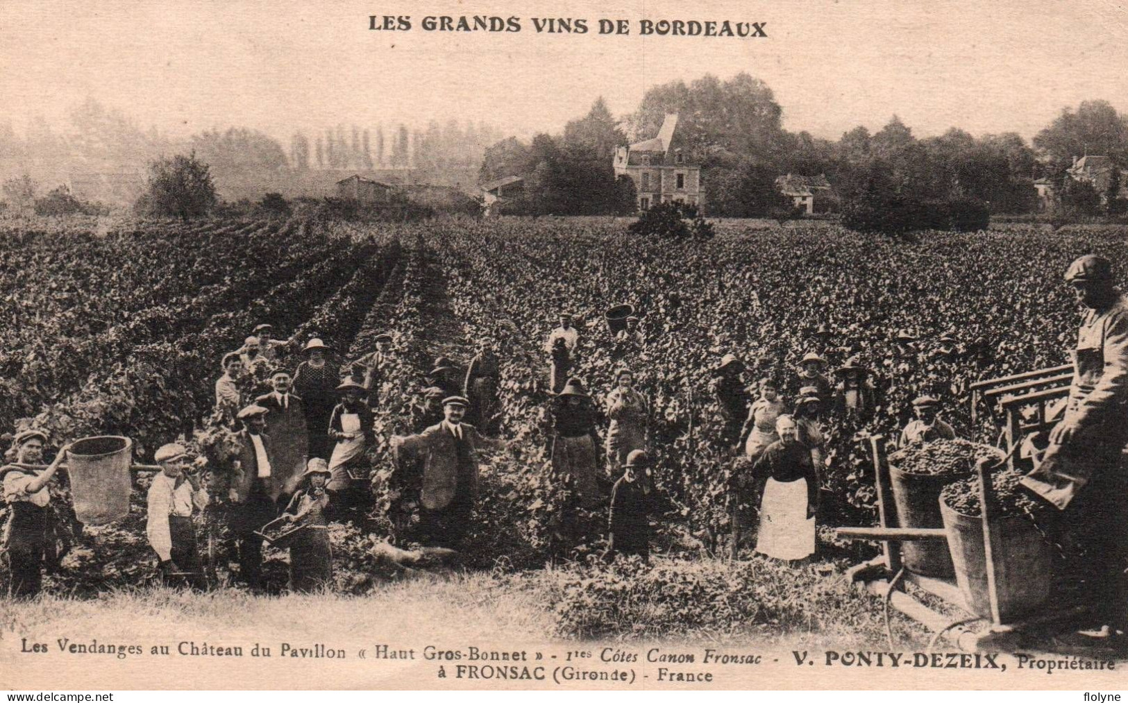 Vin - Vignoble V. PONTY DEZEIX à Fronsac - Les Vendanges Au Château Du Pavillon Haut Gros Bonnet - Vendangeurs - Vines