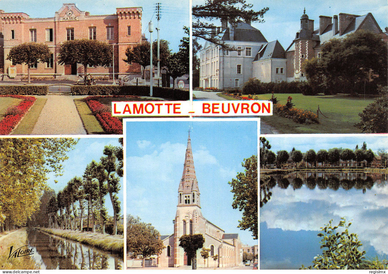 41-LAMOTTE BEUVRON-N°T2658-A/0349 - Lamotte Beuvron