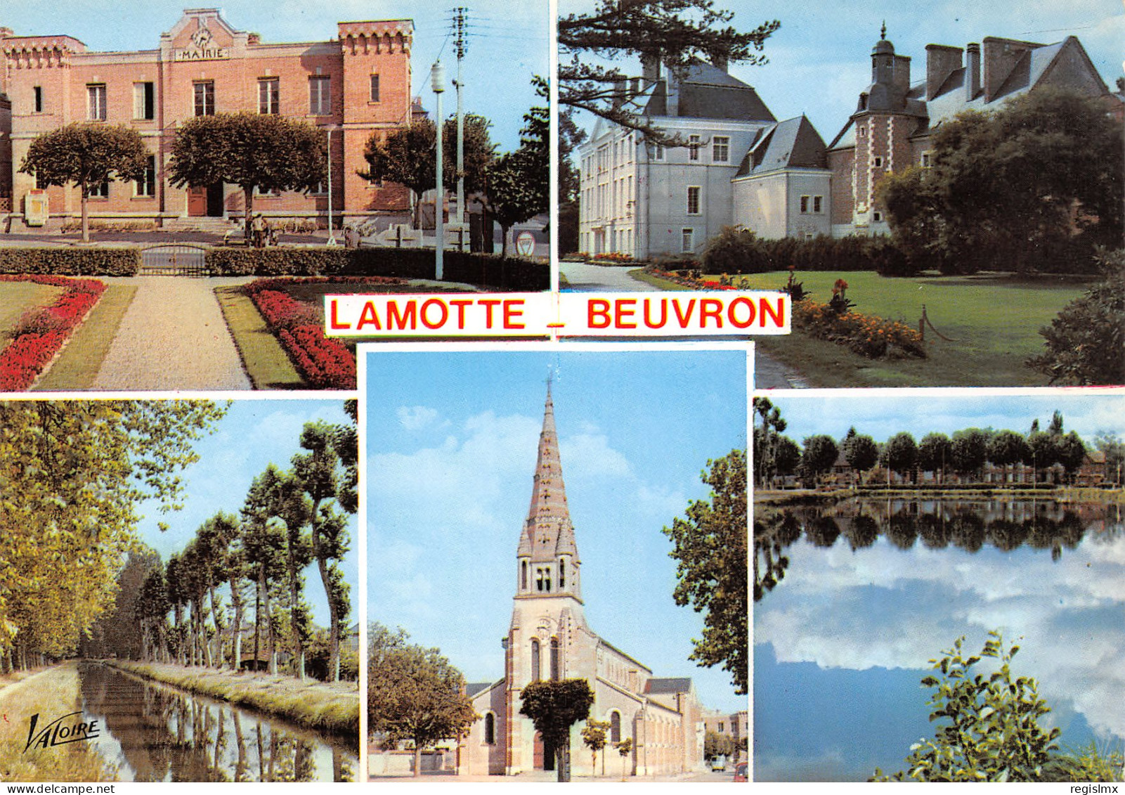 41-LAMOTTE BEUVRON-N°T2658-A/0347 - Lamotte Beuvron