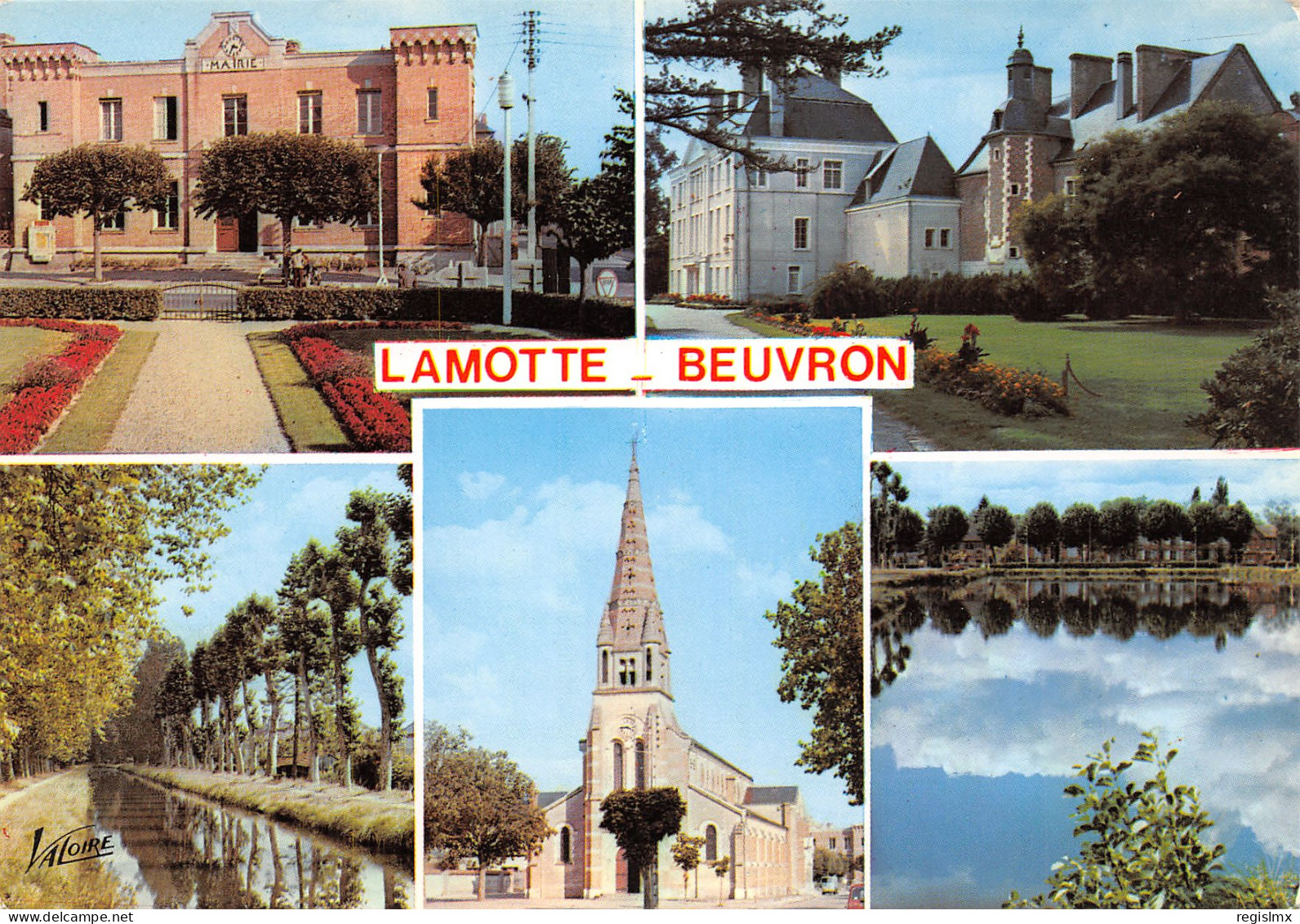 41-LAMOTTE BEUVRON-N°T2658-A/0351 - Lamotte Beuvron