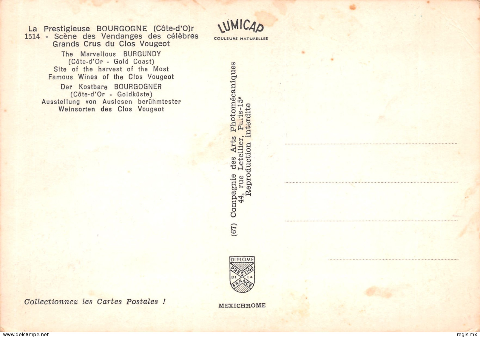 21-BOURGOGNE -N°T2659-B/0151 - Other & Unclassified