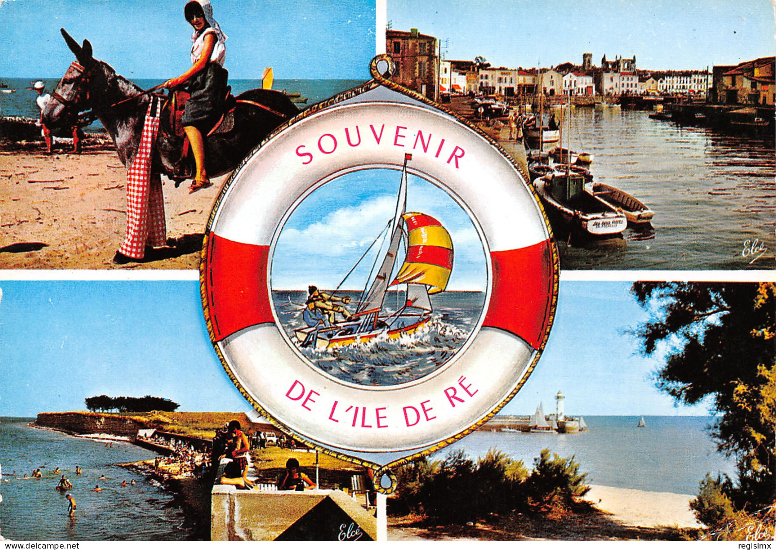 17-ILE DE RE-N°T2660-A/0079 - Ile De Ré