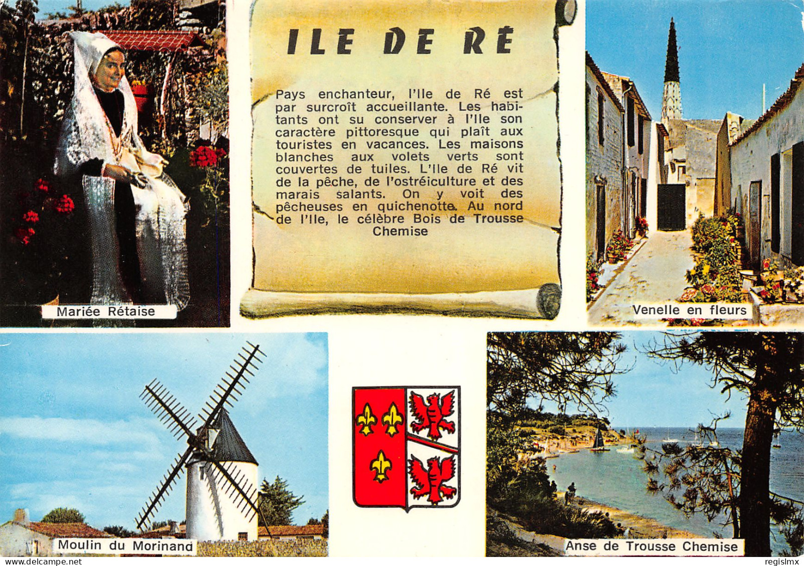 17-ILE DE RE-N°T2660-A/0057 - Ile De Ré