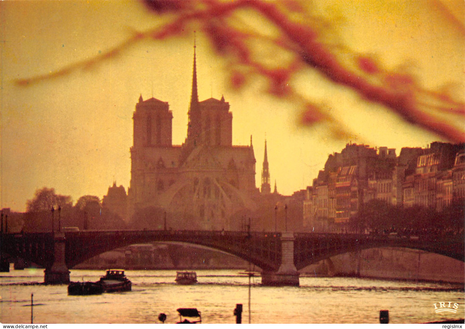 75-PARIS NOTRE DAME-N°T2660-C/0325 - Notre Dame De Paris