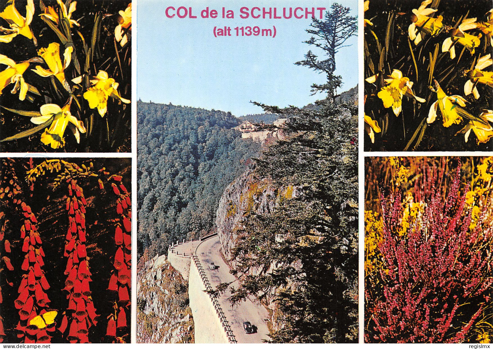 88-COL DE SCHLUCHT-N°T2660-B/0125 - Other & Unclassified