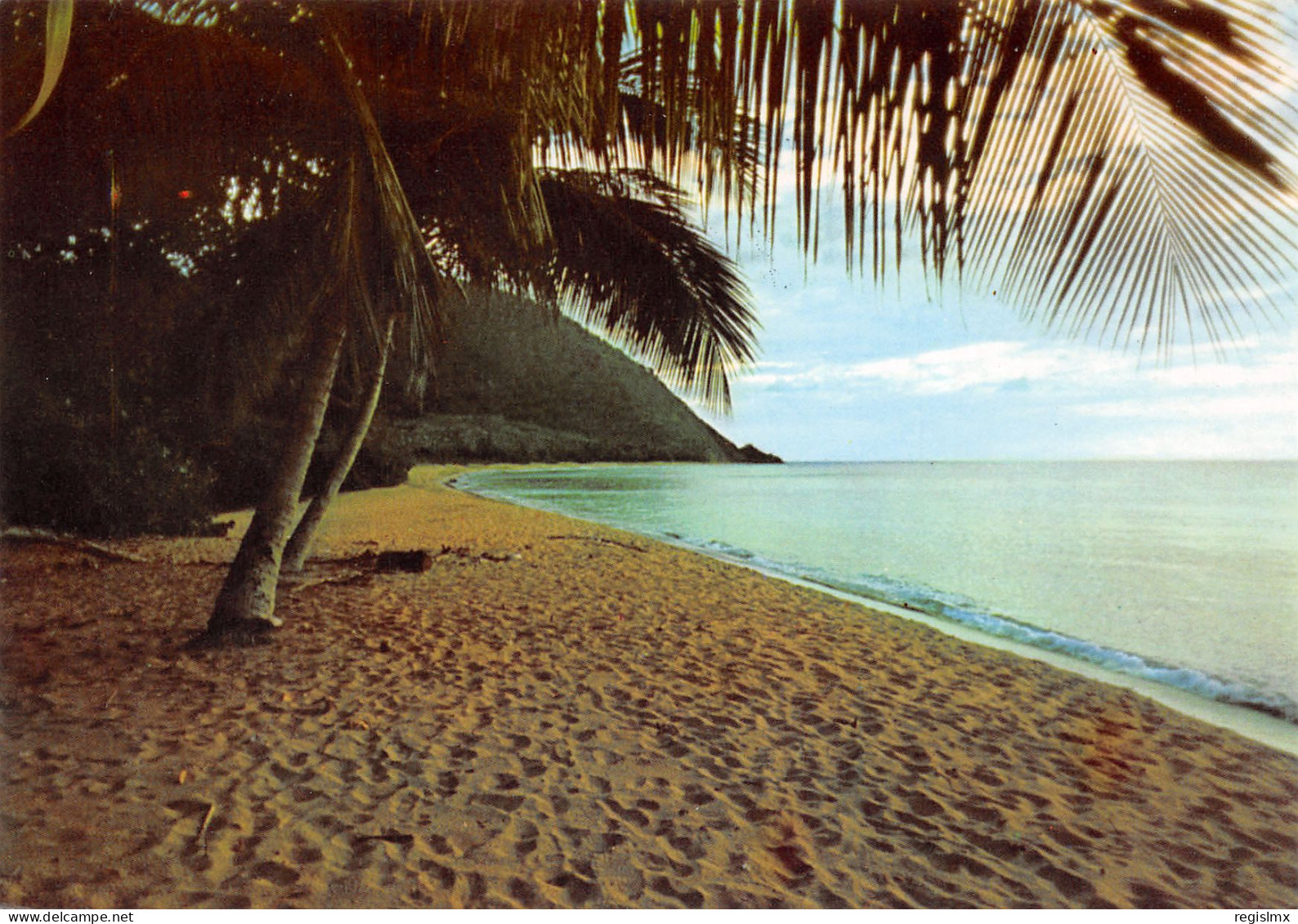 971-GUADELOUPE PLAGE AUX ANTILLES-N°T2660-A/0319 - Other & Unclassified