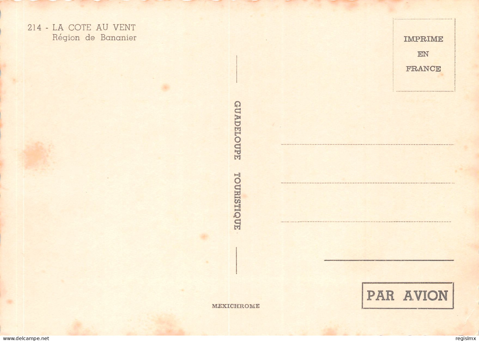 971-GUADELOUPE REGION DE BANANIER-N°T2660-A/0309 - Autres & Non Classés