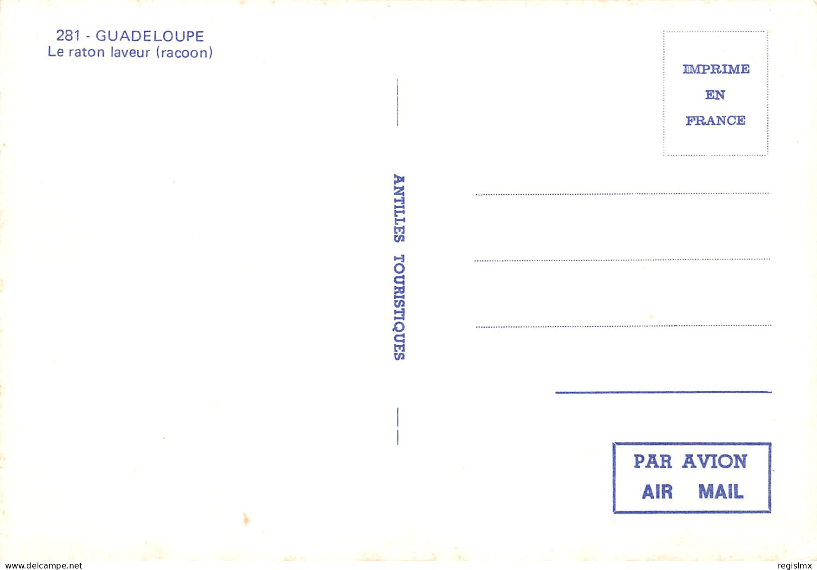 971-GUADELOUPE RATON LAVEUR-N°T2660-A/0297 - Other & Unclassified