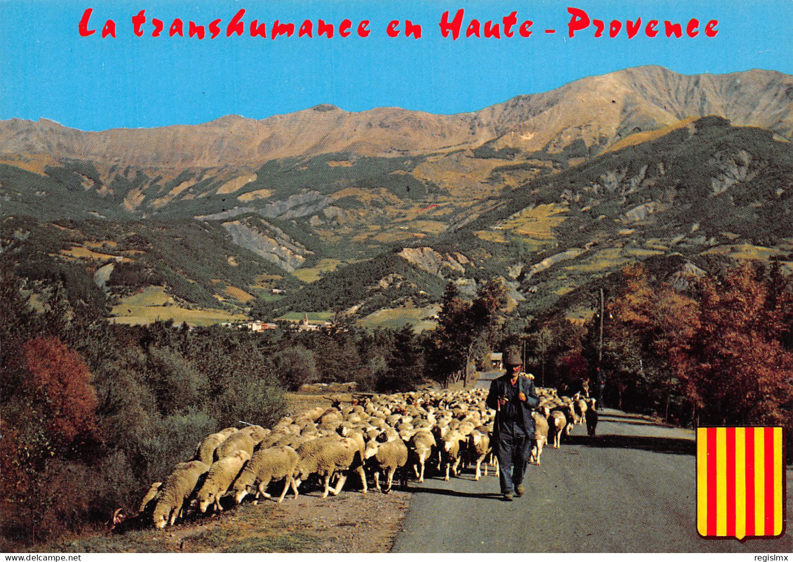 84-LA PROVENCE TRANSHUMANCE-N°T2661-A/0367 - Other & Unclassified