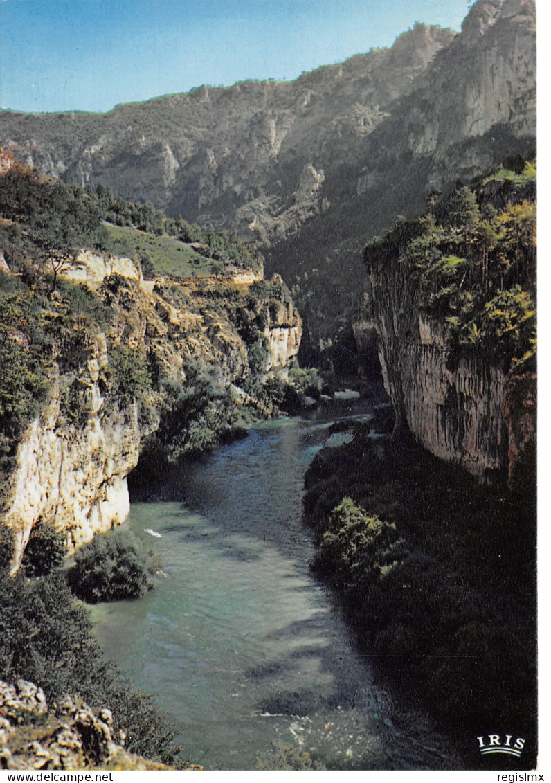 48-GORGES DU TARN-N°T2660-D/0301 - Gorges Du Tarn