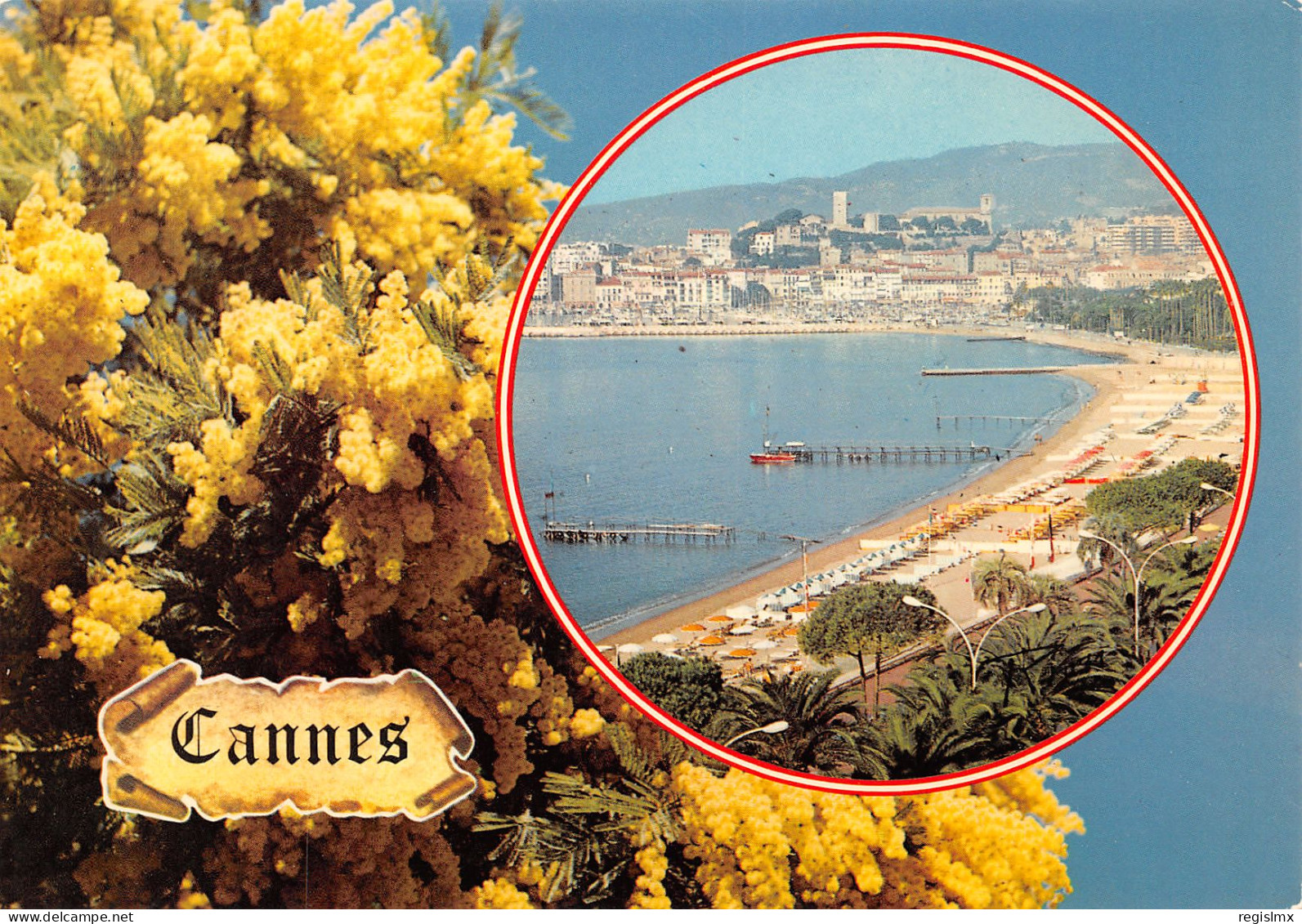 06-CANNES-N°T2661-C/0135 - Cannes