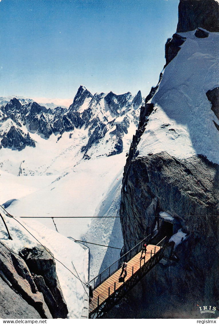 74-CHAMONIX-N°T2663-D/0239 - Chamonix-Mont-Blanc