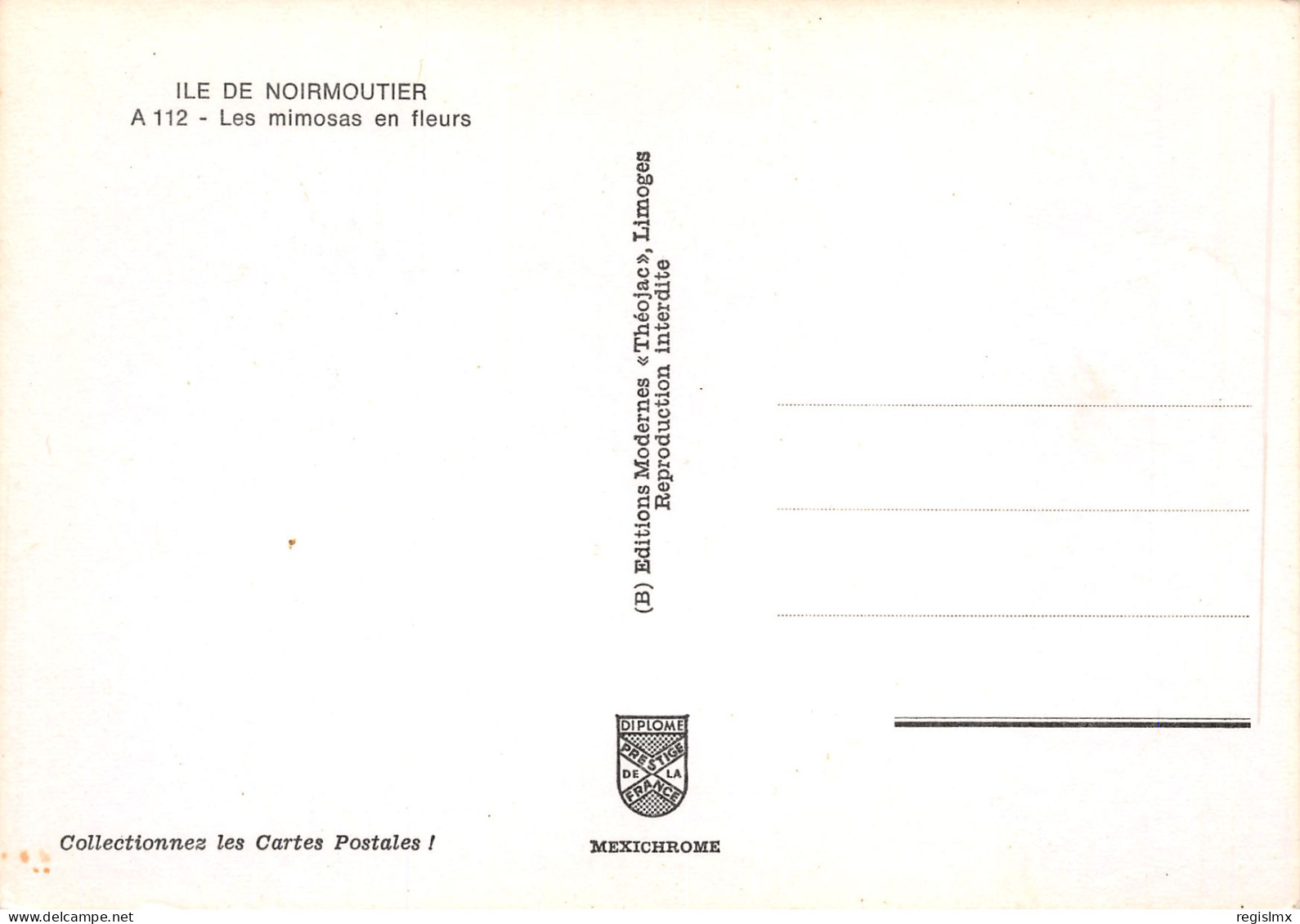 85-ILE DE NOIRMOUTIER LE MIMOSAS-N°T2663-C/0007 - Ile De Noirmoutier