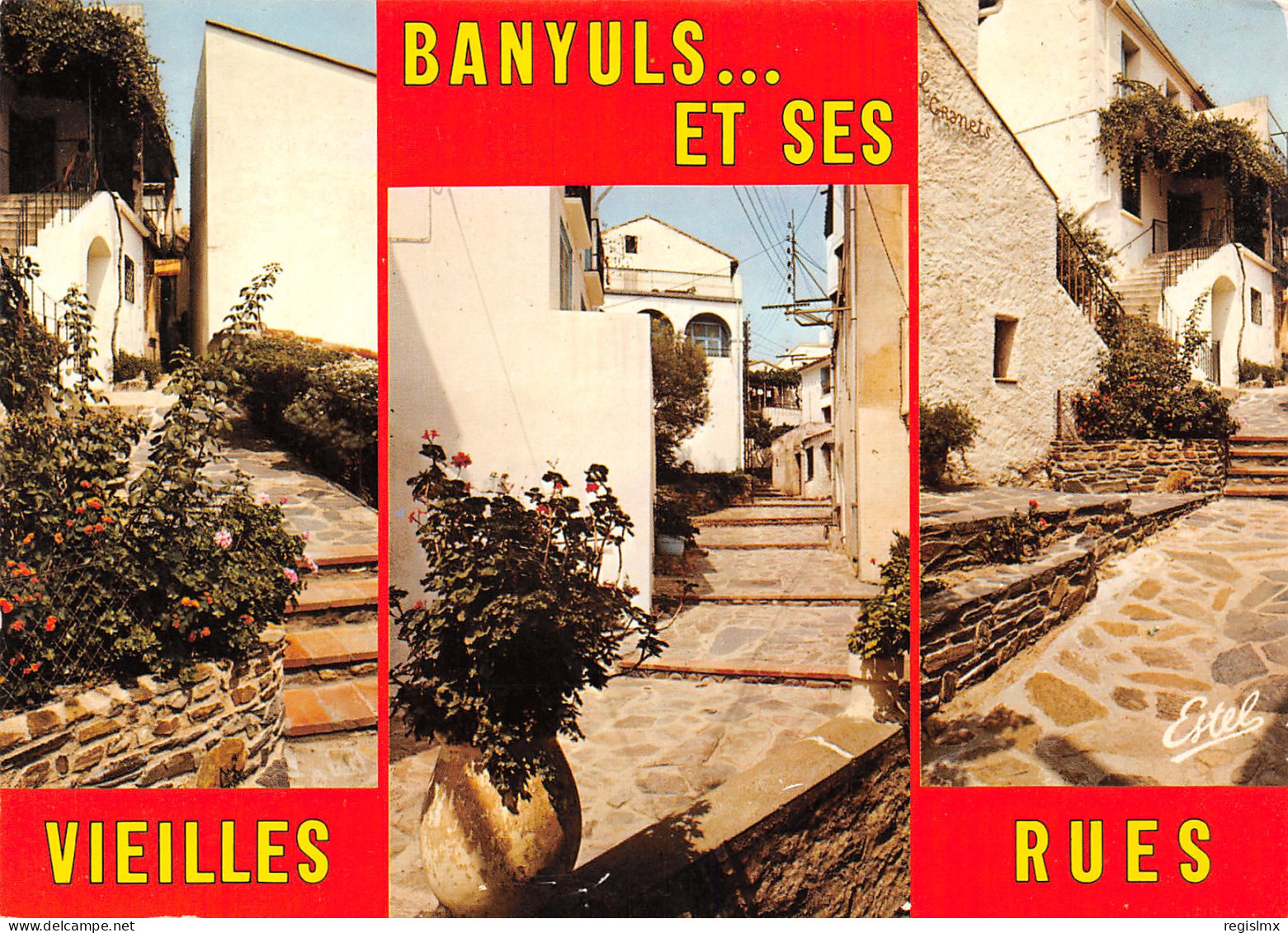 66-BANYULS SUR MER-N°T2664-B/0181 - Banyuls Sur Mer