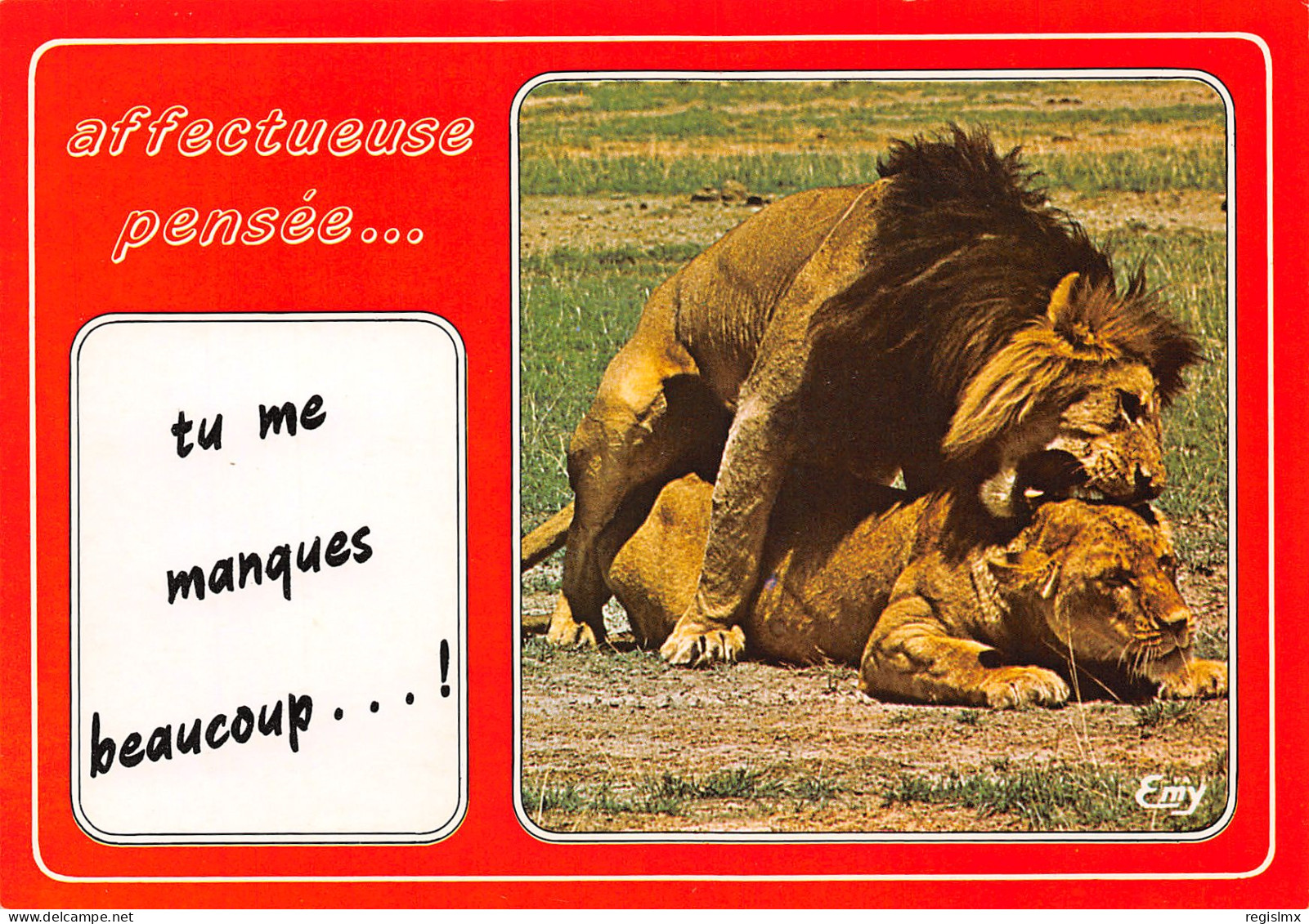 TH-ANIMAUX LION ET LIONNE-N°T2664-A/0301 - Autres & Non Classés