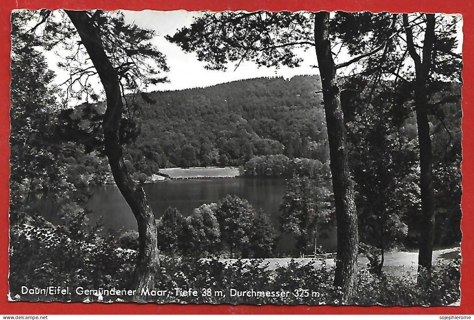 Daun (Eifel Rheinland-Pfalz) Waldcafé Rose Am Gemündener Maar Durchmesser 2scans 20-07-1964 - Daun