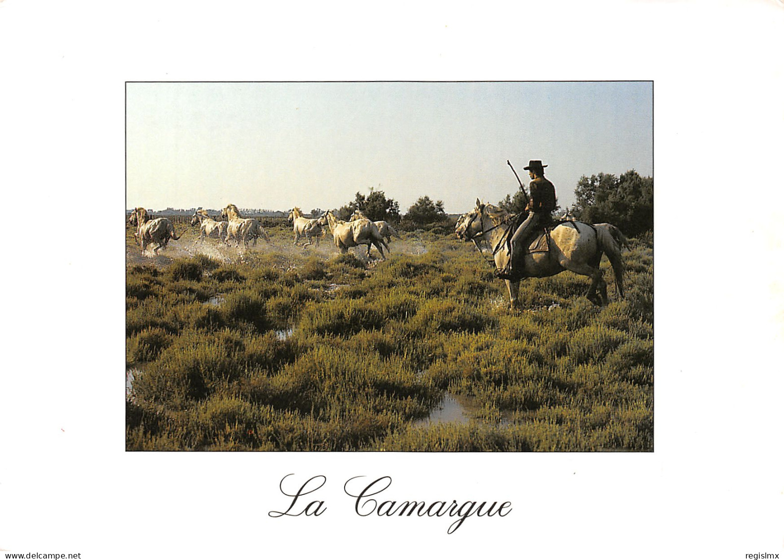 30-LA CAMARGUE-N°T2665-B/0273 - Autres & Non Classés