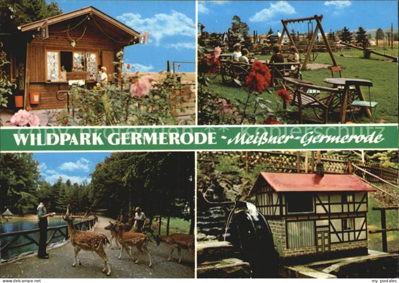 72529614 Germerode Wildpark  Germerode - Autres & Non Classés