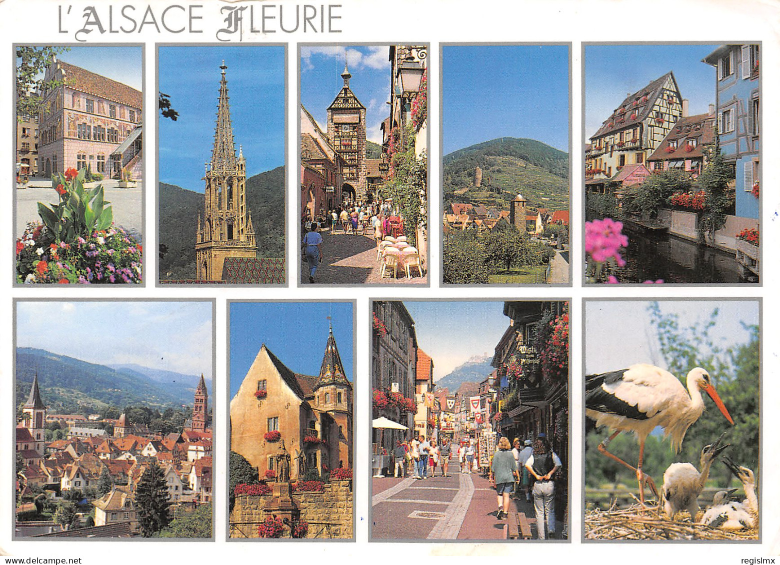 68-ALSACE-N°T2665-B/0247 - Autres & Non Classés