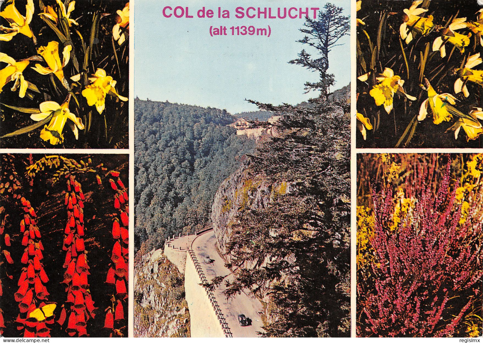 88-LA SCHLUCHT-N°T2666-B/0081 - Other & Unclassified