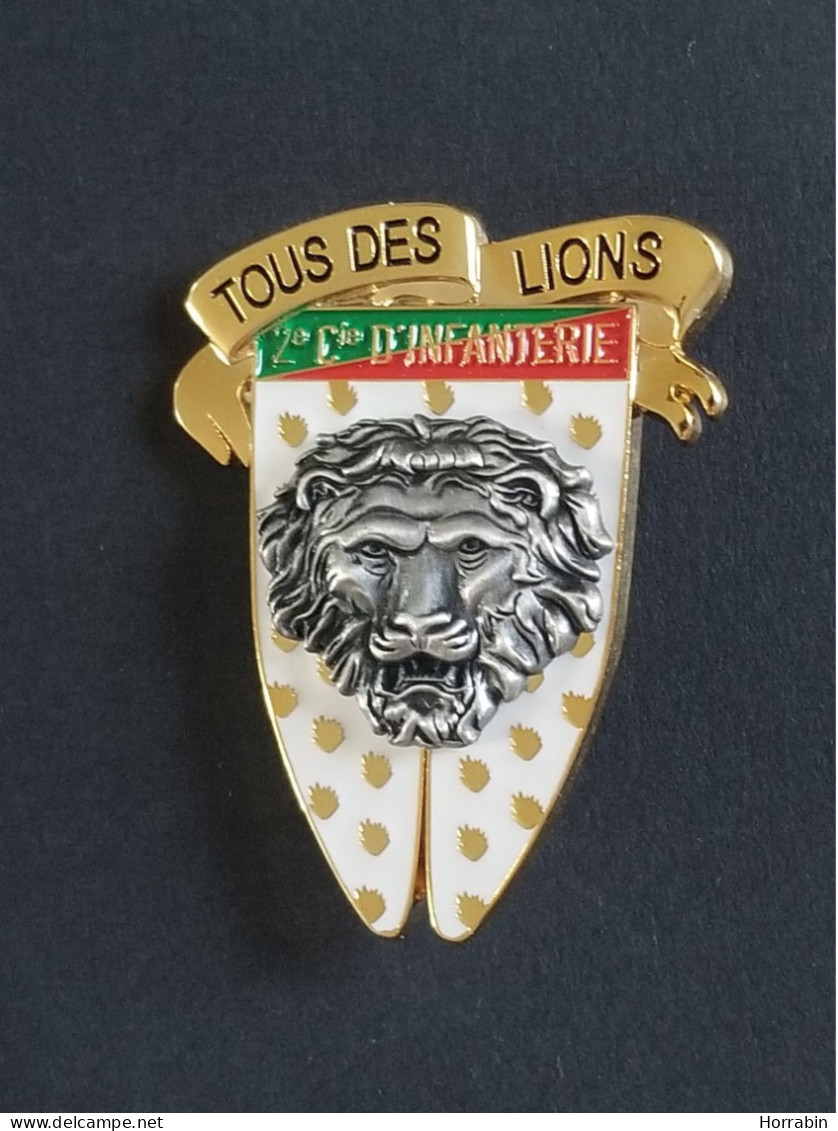 Rare: Insigne Métallique 2e Compagnie Infanterie Du 5e Régiment De Dragons (2017) - Armée De Terre