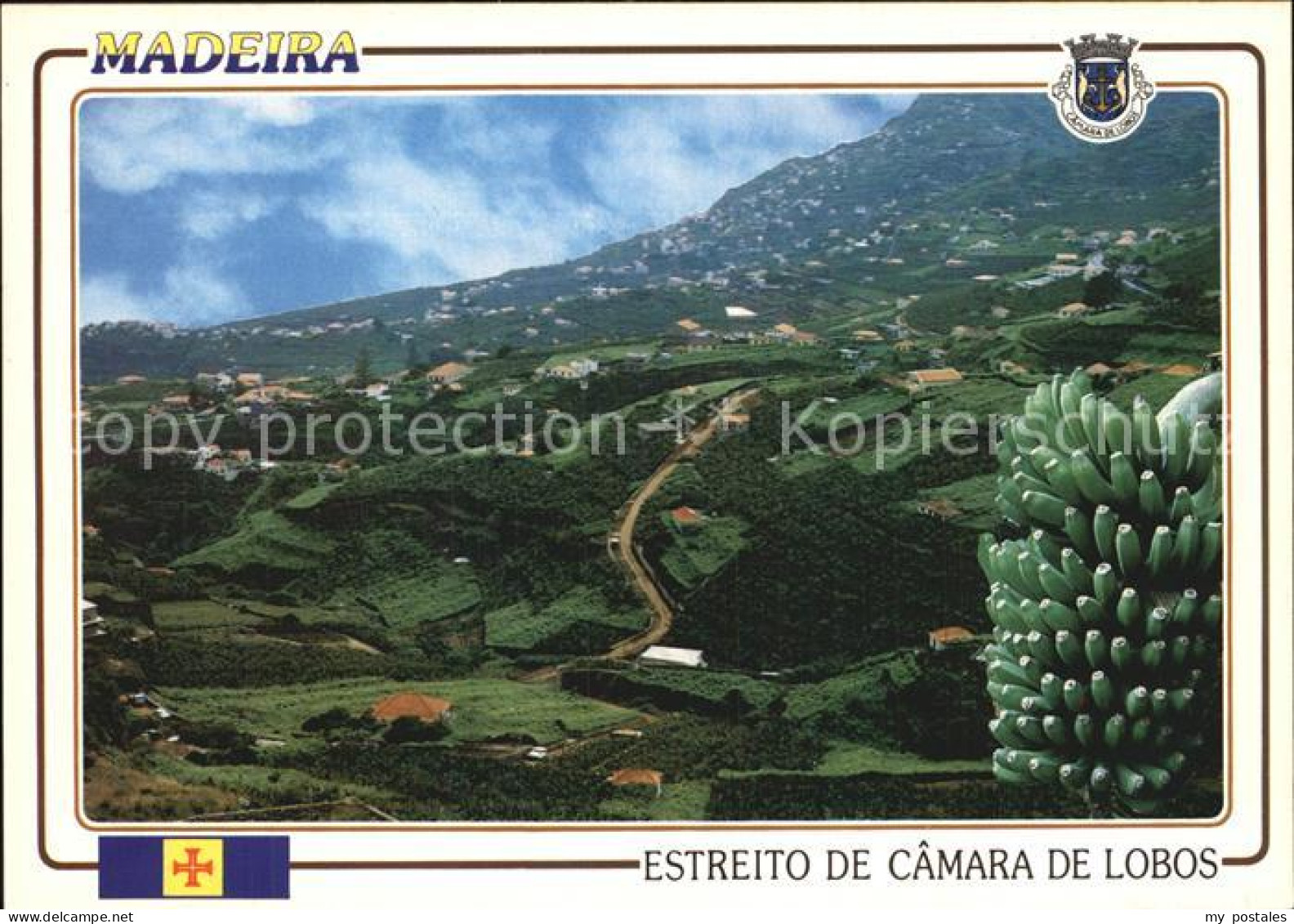 72529373 Camara De Lobos Madeira  Portugal Panorama Meerenge Bananenstaude  - Madeira