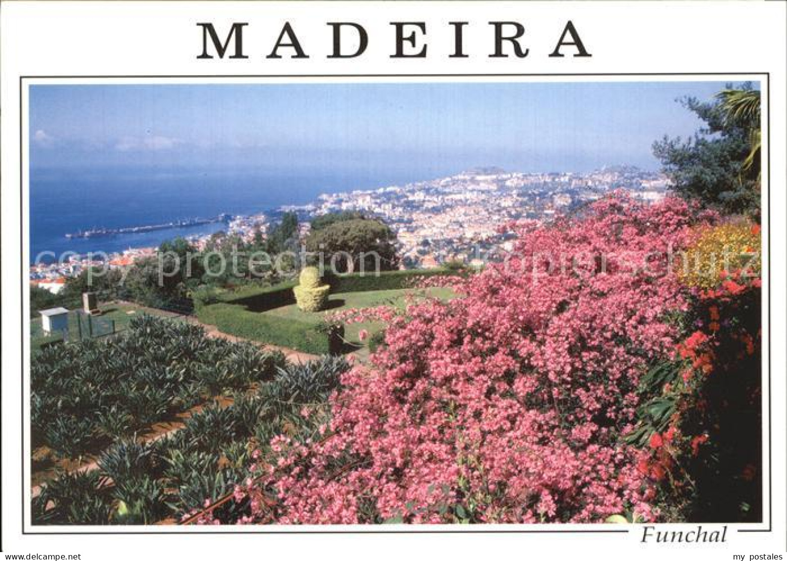 72529363 Funchal Panorama Goldener Preis Europaeischer Wettbewerb Fuer Staedte I - Other & Unclassified