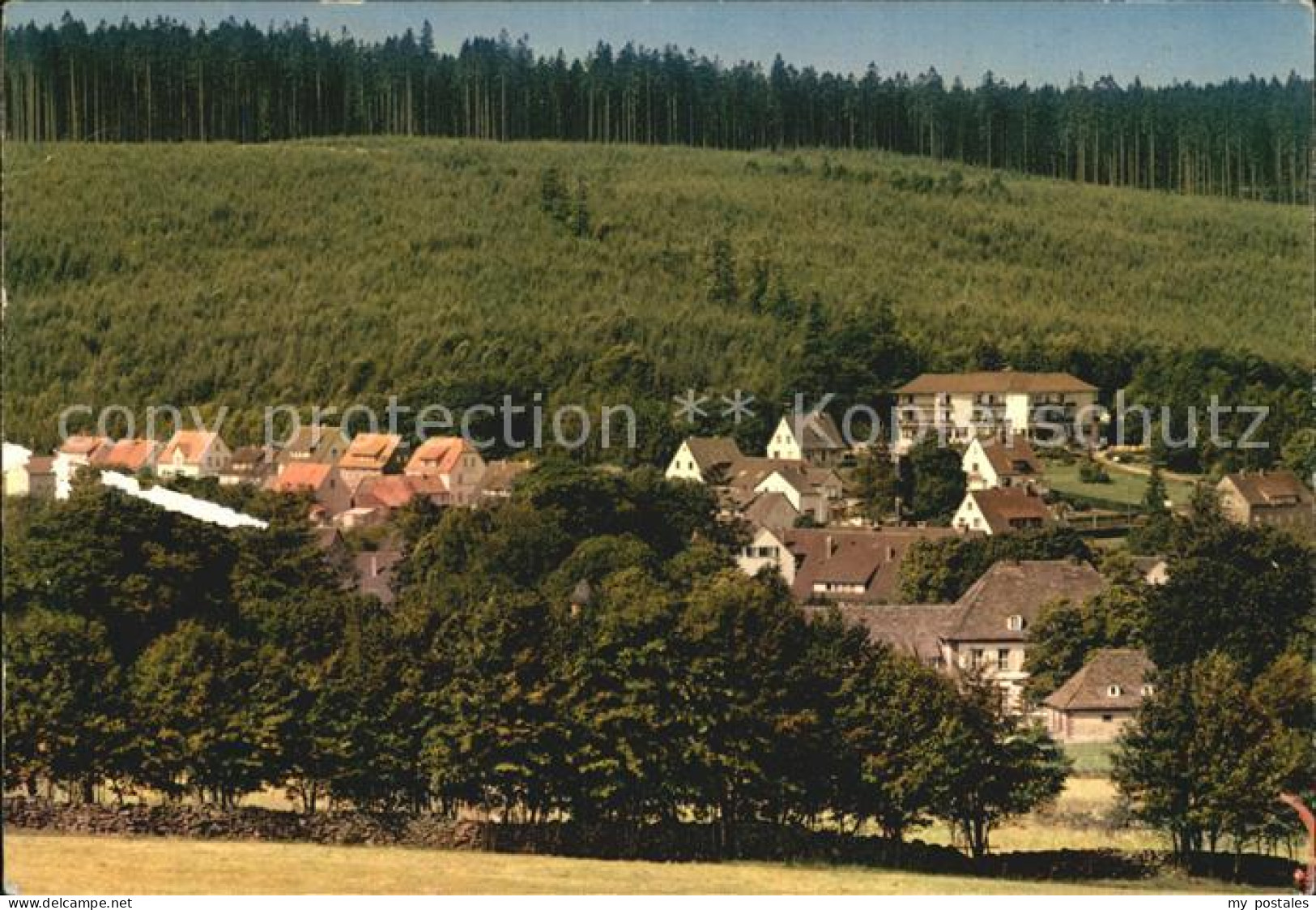 72529168 Neuhaus Solling Teilansicht Neuhaus - Holzminden