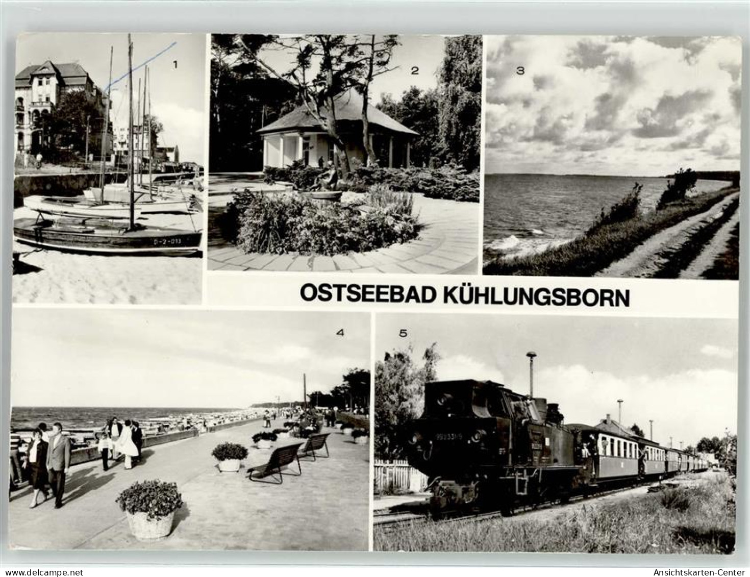 51915811 - Kuehlungsborn , Ostseebad - Kuehlungsborn