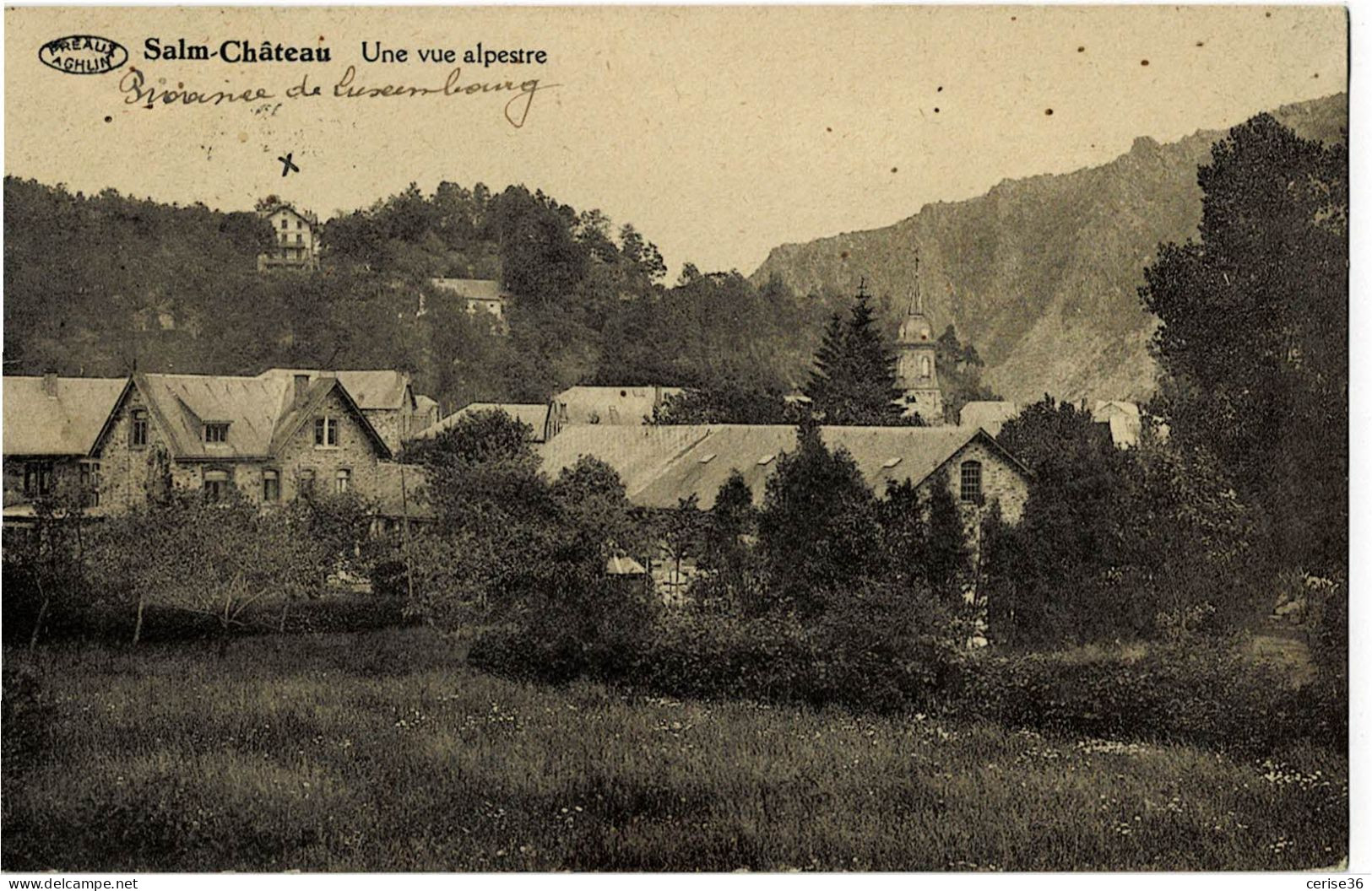 Salm-Château Une Vue Alpestre Circulée En 1937 - Vielsalm