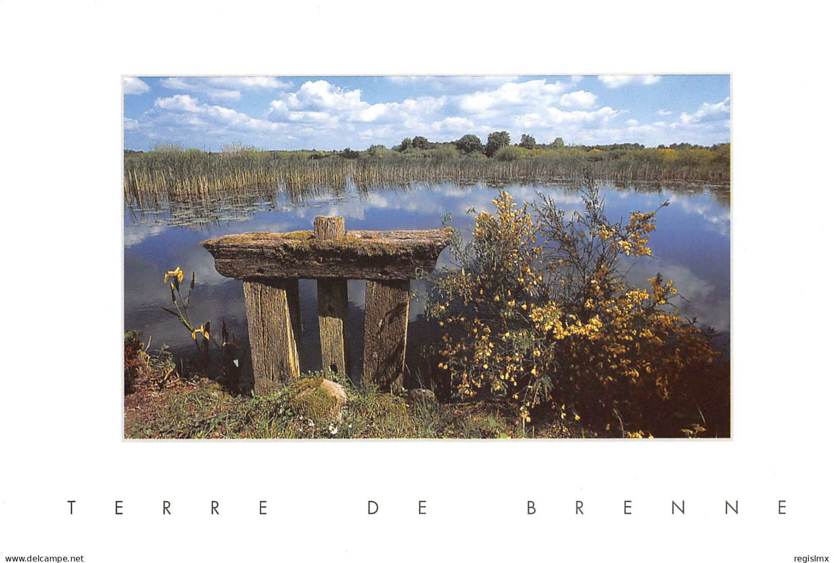 36-LA BRENNE-N°T2667-B/0135 - Other & Unclassified