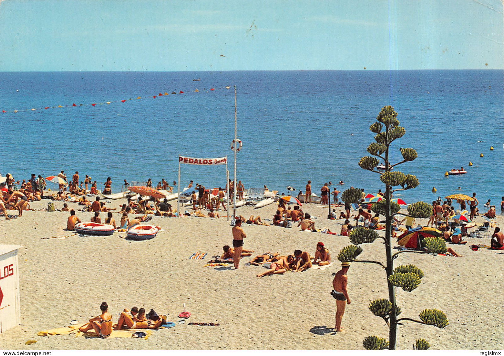66-CANET PLAGE-N°T2668-A/0309 - Canet Plage