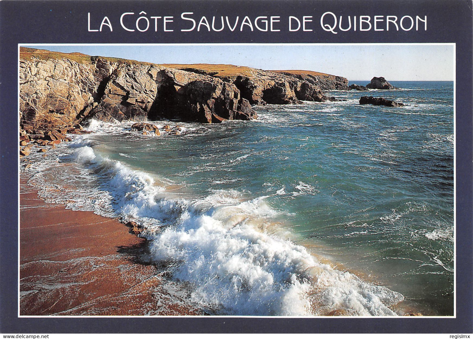 56-QUIBERON-N°T2667-D/0063 - Quiberon