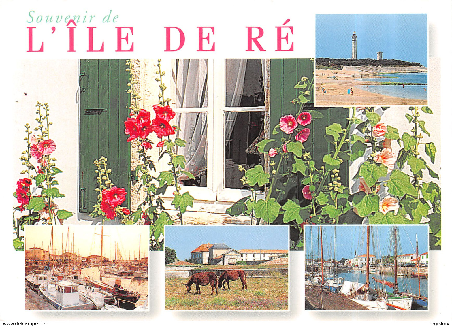 17-ILE DE RE-N°T2668-C/0241 - Ile De Ré