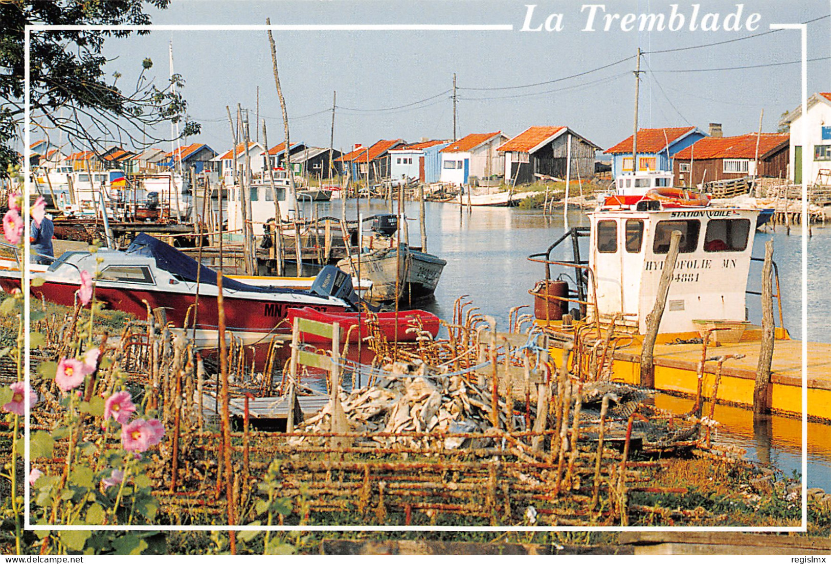 17-LA TREMBLADE-N°T2669-C/0121 - La Tremblade