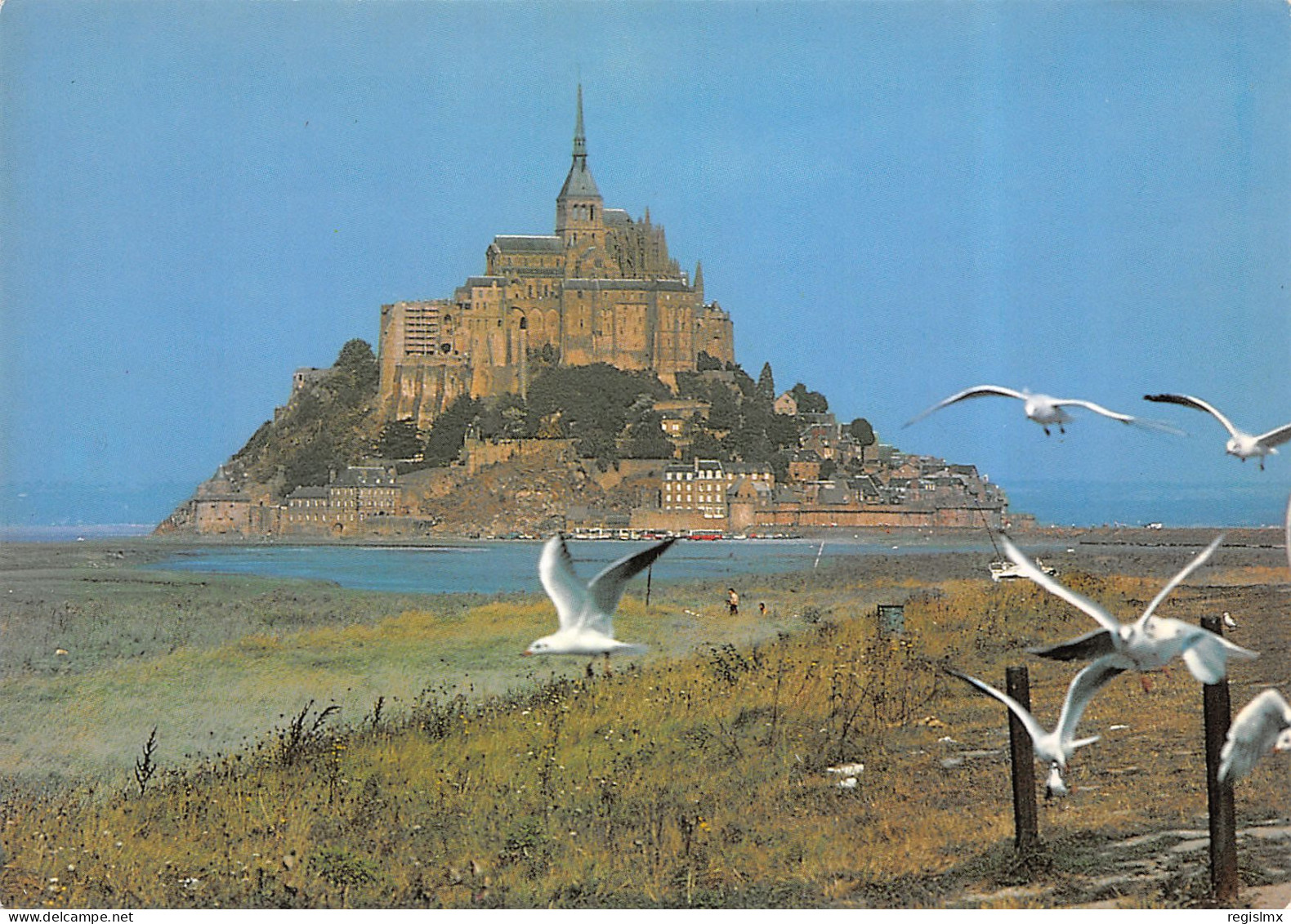 50-MONT SAINT MICHEL-N°T2669-A/0299 - Le Mont Saint Michel