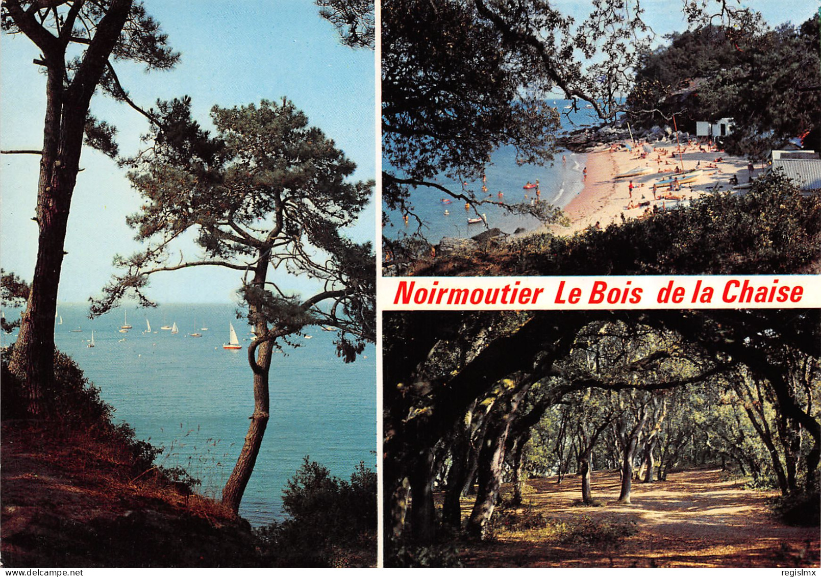 85-NOIRMOUTIER-N°T2669-A/0083 - Noirmoutier