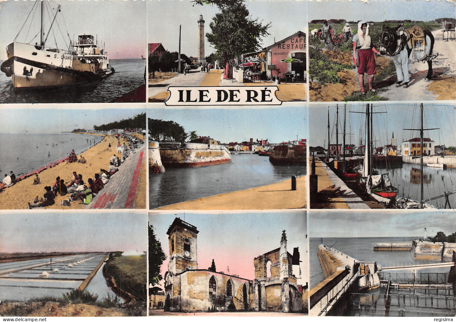 17-ILE DE RE-N°T2668-D/0371 - Ile De Ré