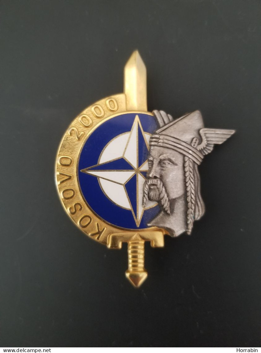 Insigne Métallique KOSOVO / Année 2000 - Armée De Terre