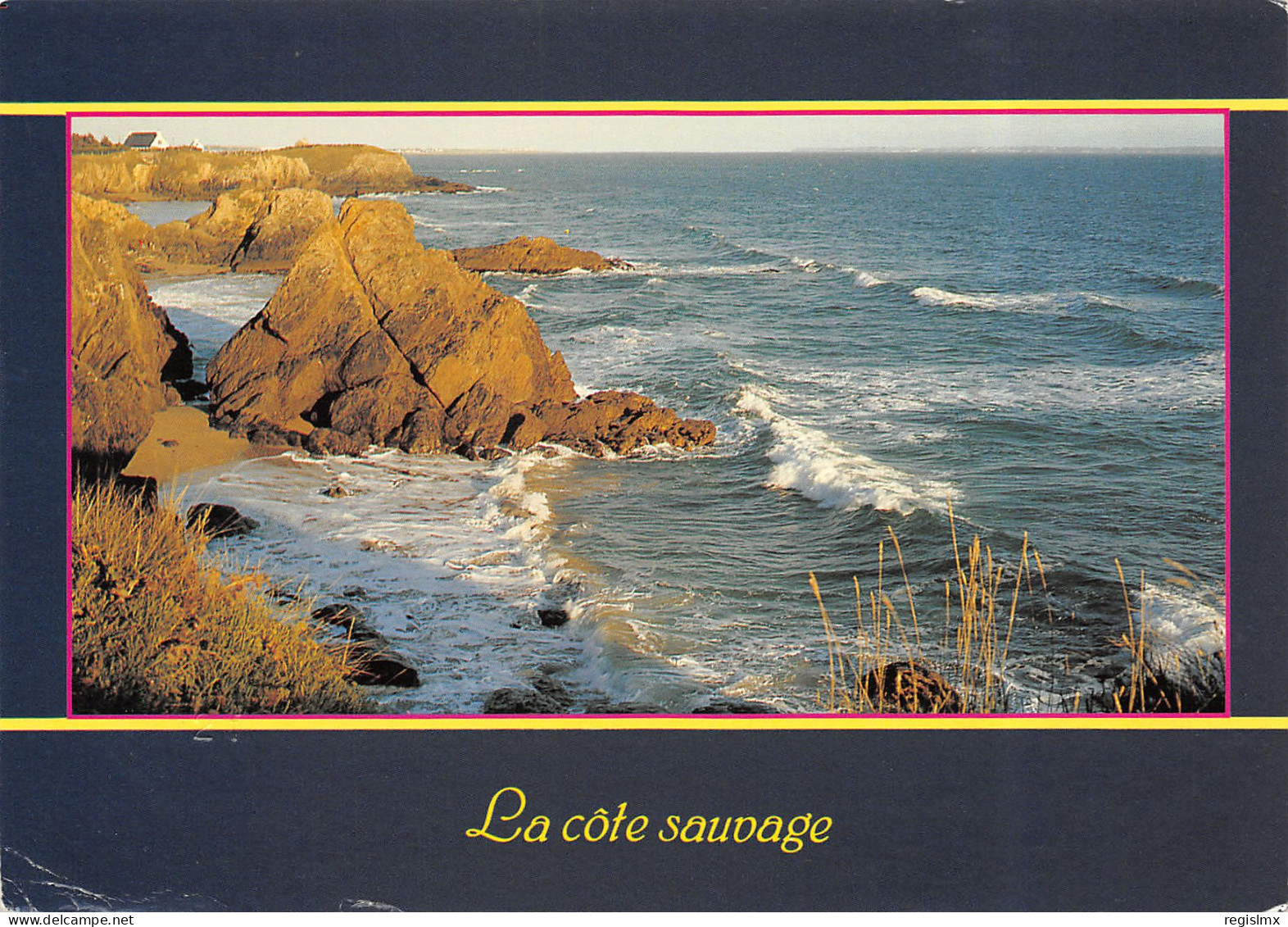 56-COTE SAUVAGE-N°T2669-D/0039 - Other & Unclassified