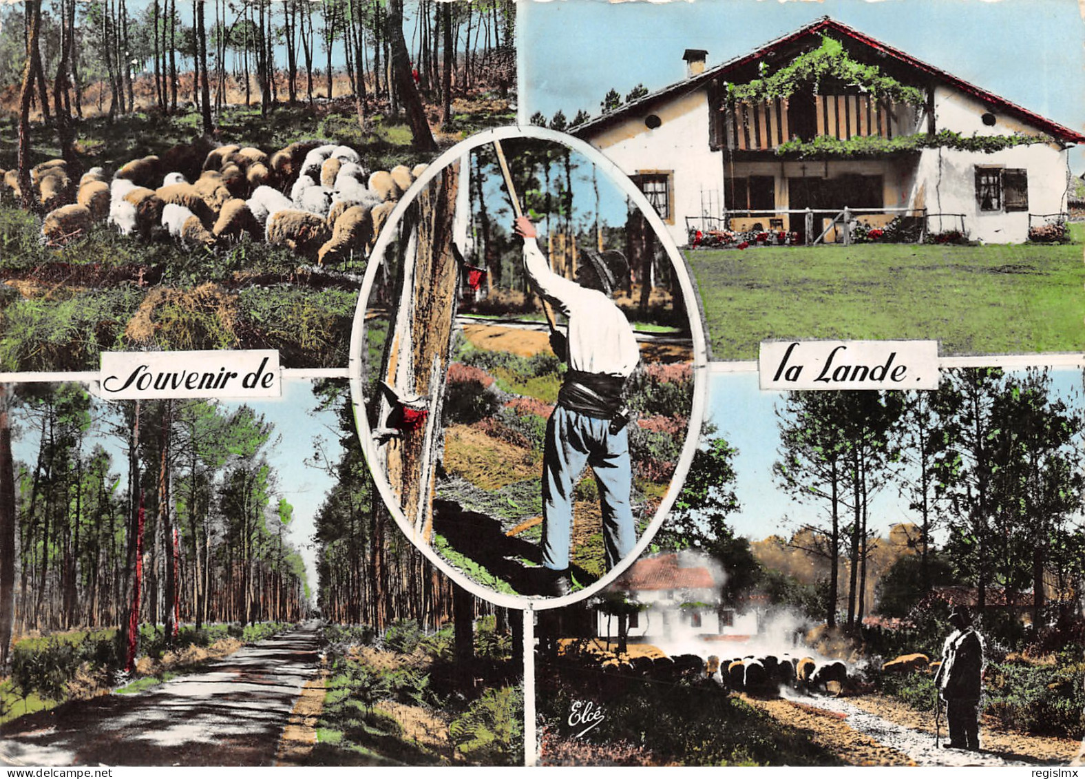 40-LES LANDES-N°T2669-C/0237 - Other & Unclassified