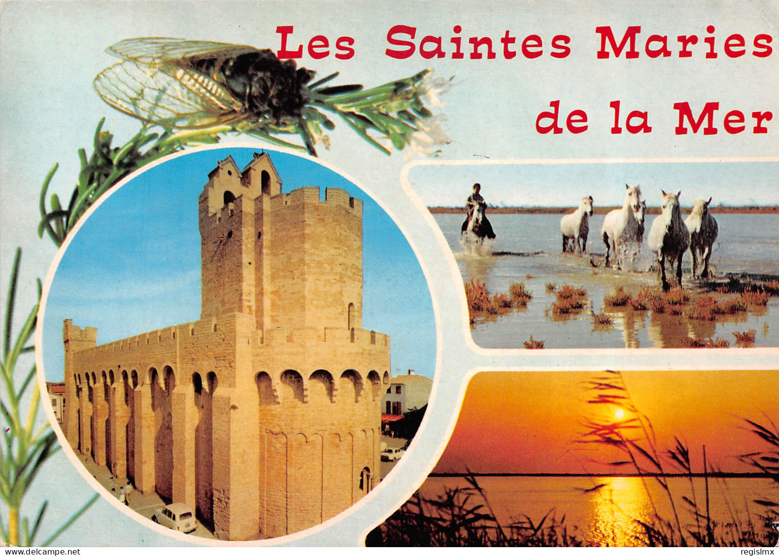 13-LES SAINTES MARIES DE LA MER-N°T2670-B/0373 - Saintes Maries De La Mer