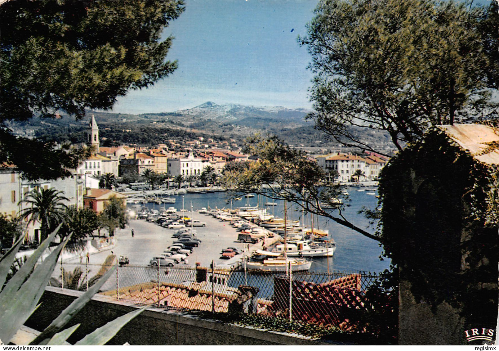 83-SANARY SUR MER-N°T2670-B/0231 - Sanary-sur-Mer