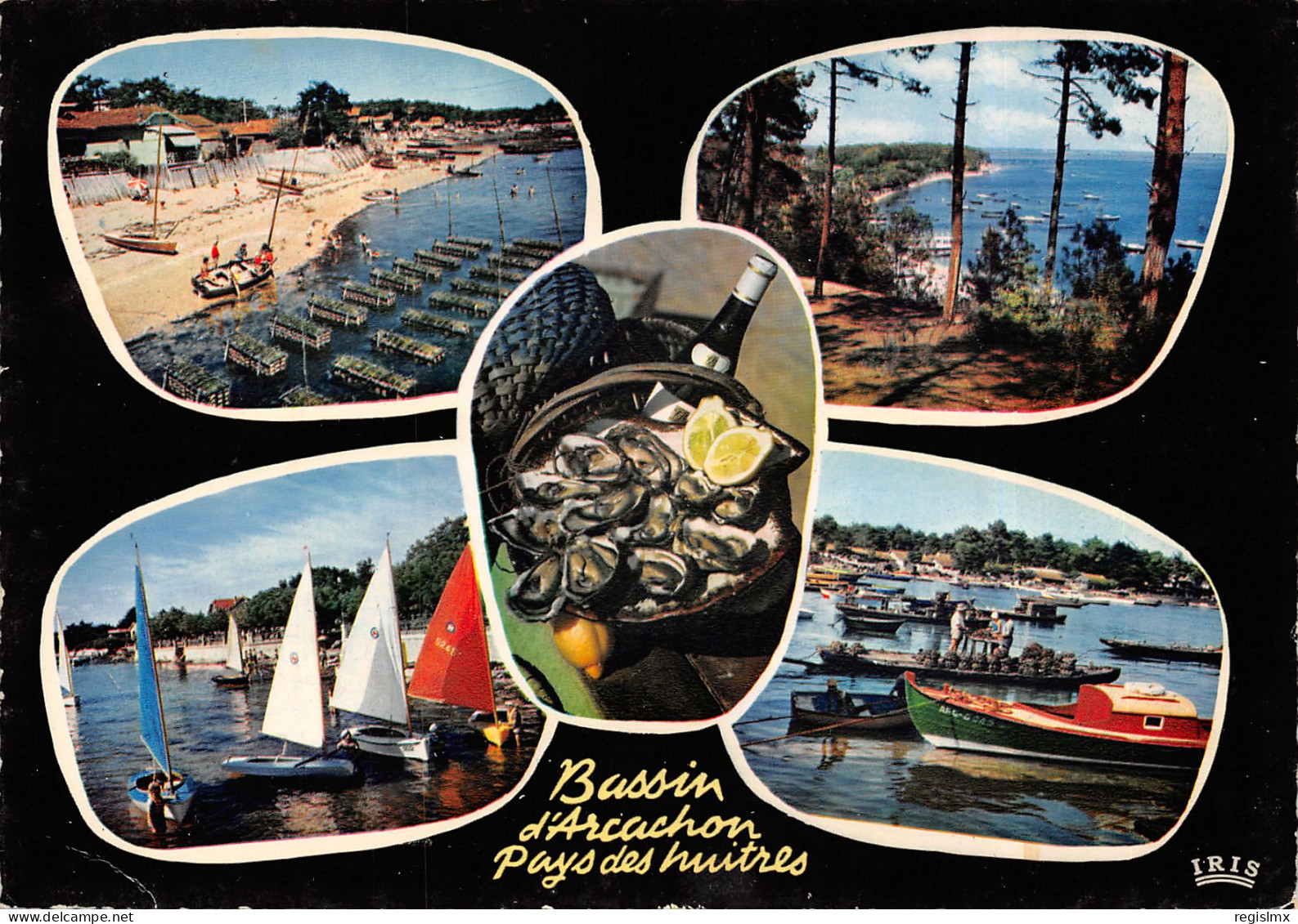 33-BASSIN D ARCACHON-N°T2670-B/0097 - Autres & Non Classés