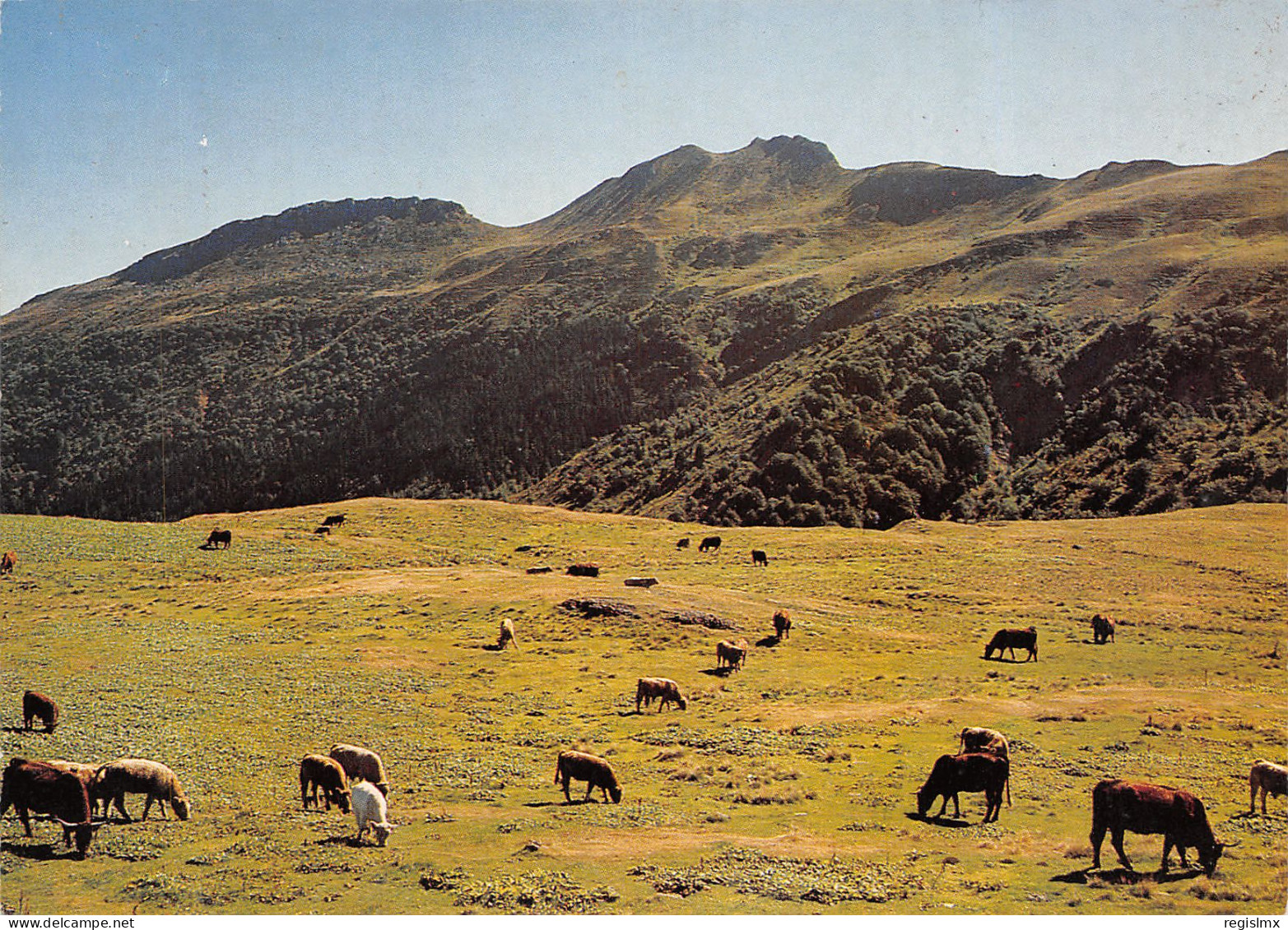 15-CANTAL LE PEYRE ARSE-N°T2671-A/0055 - Autres & Non Classés